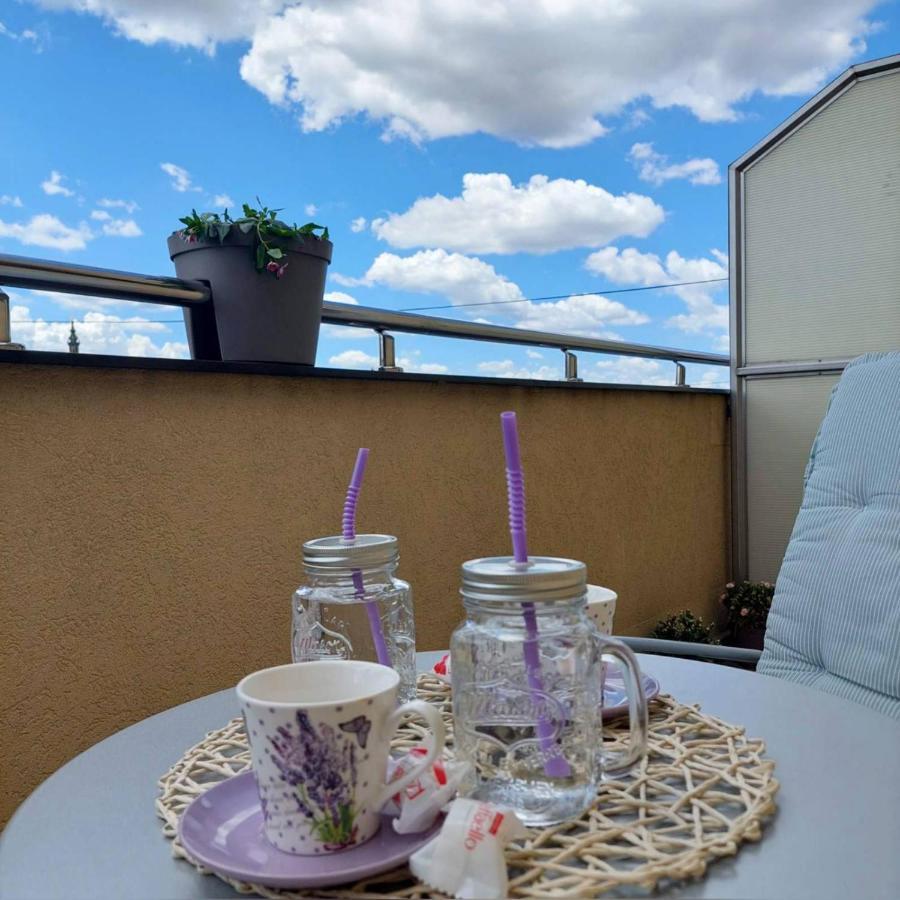 Ferienwohnung Soul Stan Na Dan Novi Sad Exterior foto